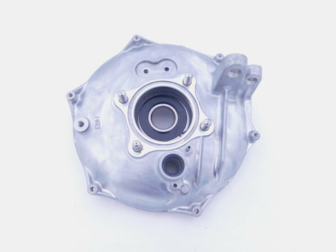 HONDA REAR BRAKE PLATE ASSY  2014 -2023 TRX420 TRX500 TRX520 OEM 43010-HR3-A20